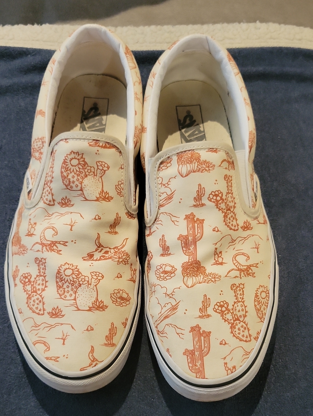 Vans Desert Vibes Slipon Sneakers Mens 13